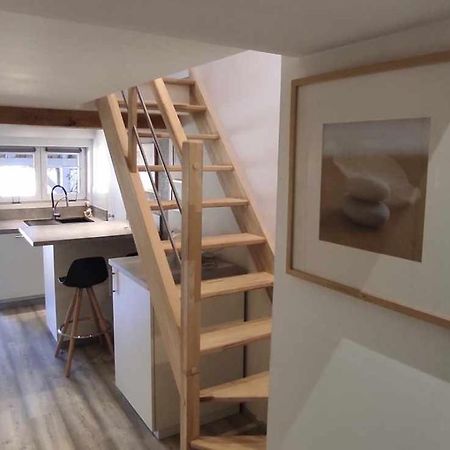 Le Petit Chez Nous Apartment Ottrott Ngoại thất bức ảnh